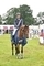 Jordan Thompson & Imperial RJ win the Scottish Branch North West Championship 2026